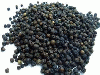 BLACK PEPPER